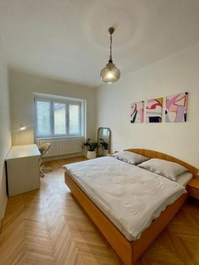Nikki's vintage apartment in old town Košice
